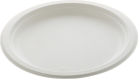 10 Inch Plain Round Plate